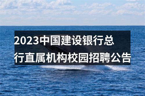 2023中国建设银行总行直属机构校园招聘公告 图片
