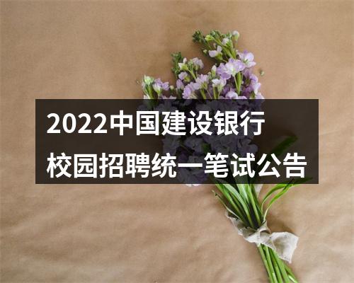 2022中国建设银行校园招聘统一笔试公告 图片