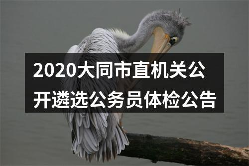 2020大同市直机关公开遴选公务员体检公告 图片