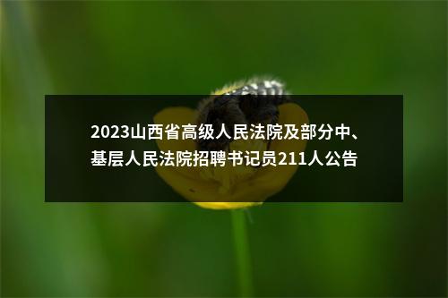 2023山西省高级人民法院及部分中、基层人民法院招聘书记员211人公告 图片